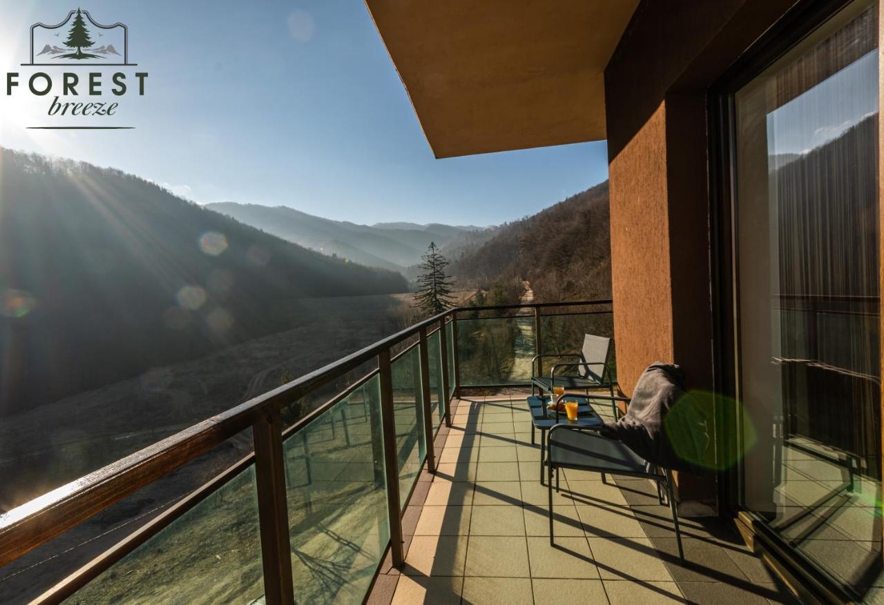 Forest Breeze Apartterrace Braşov Buitenkant foto