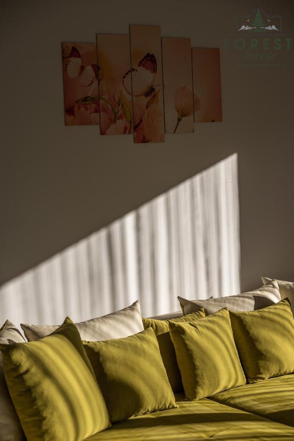 Forest Breeze Apartterrace Braşov Buitenkant foto