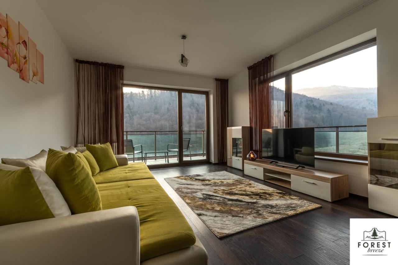 Forest Breeze Apartterrace Braşov Buitenkant foto