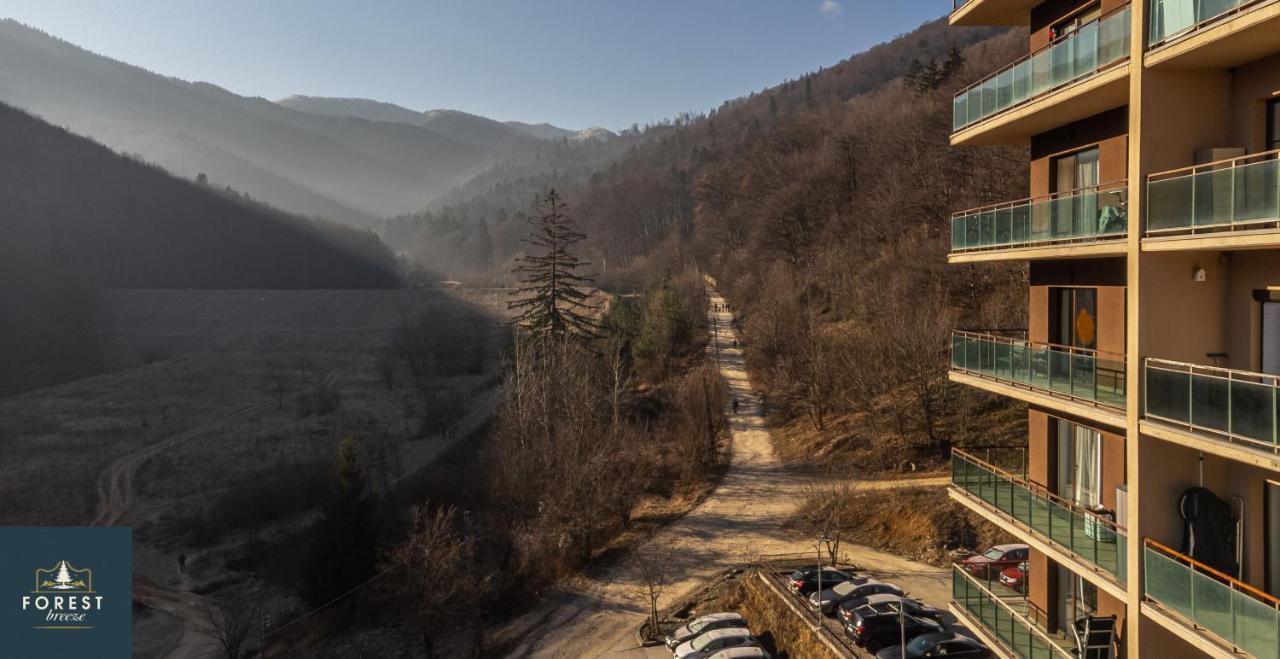 Forest Breeze Apartterrace Braşov Buitenkant foto