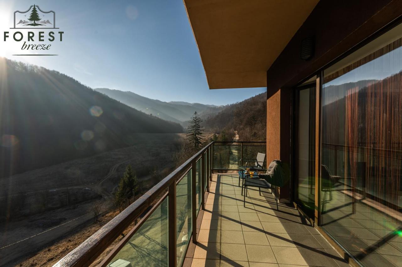 Forest Breeze Apartterrace Braşov Buitenkant foto