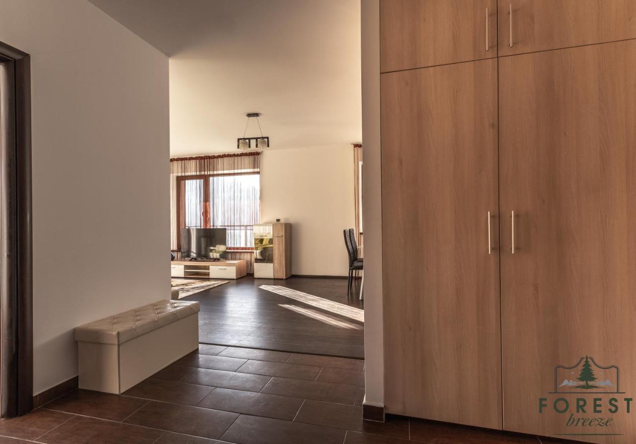 Forest Breeze Apartterrace Braşov Buitenkant foto