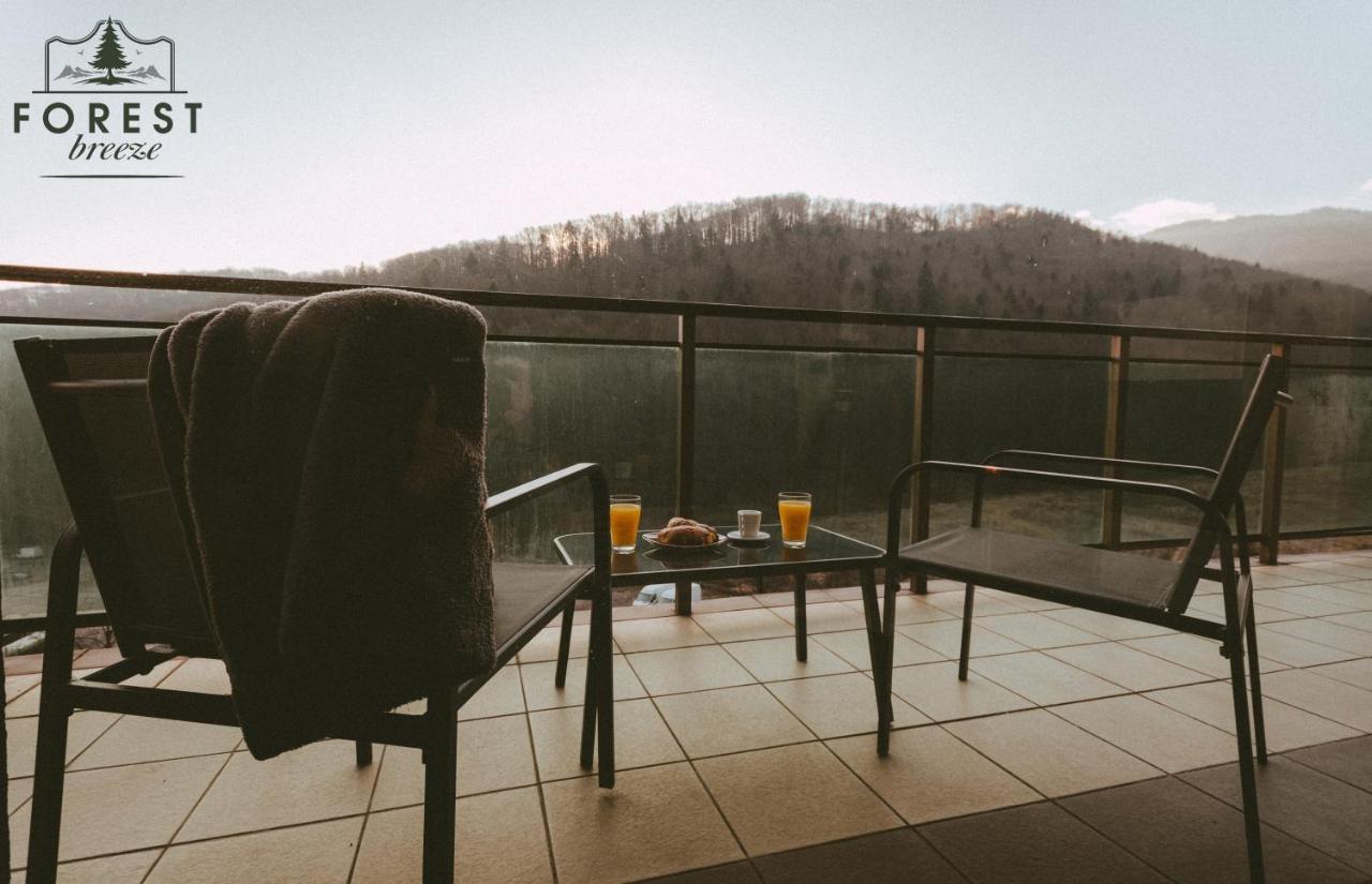 Forest Breeze Apartterrace Braşov Buitenkant foto