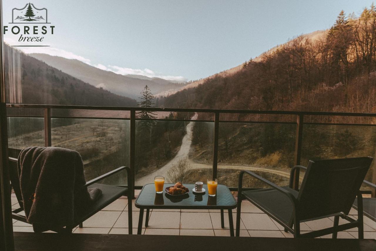 Forest Breeze Apartterrace Braşov Buitenkant foto