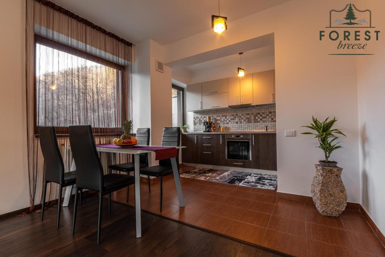 Forest Breeze Apartterrace Braşov Buitenkant foto