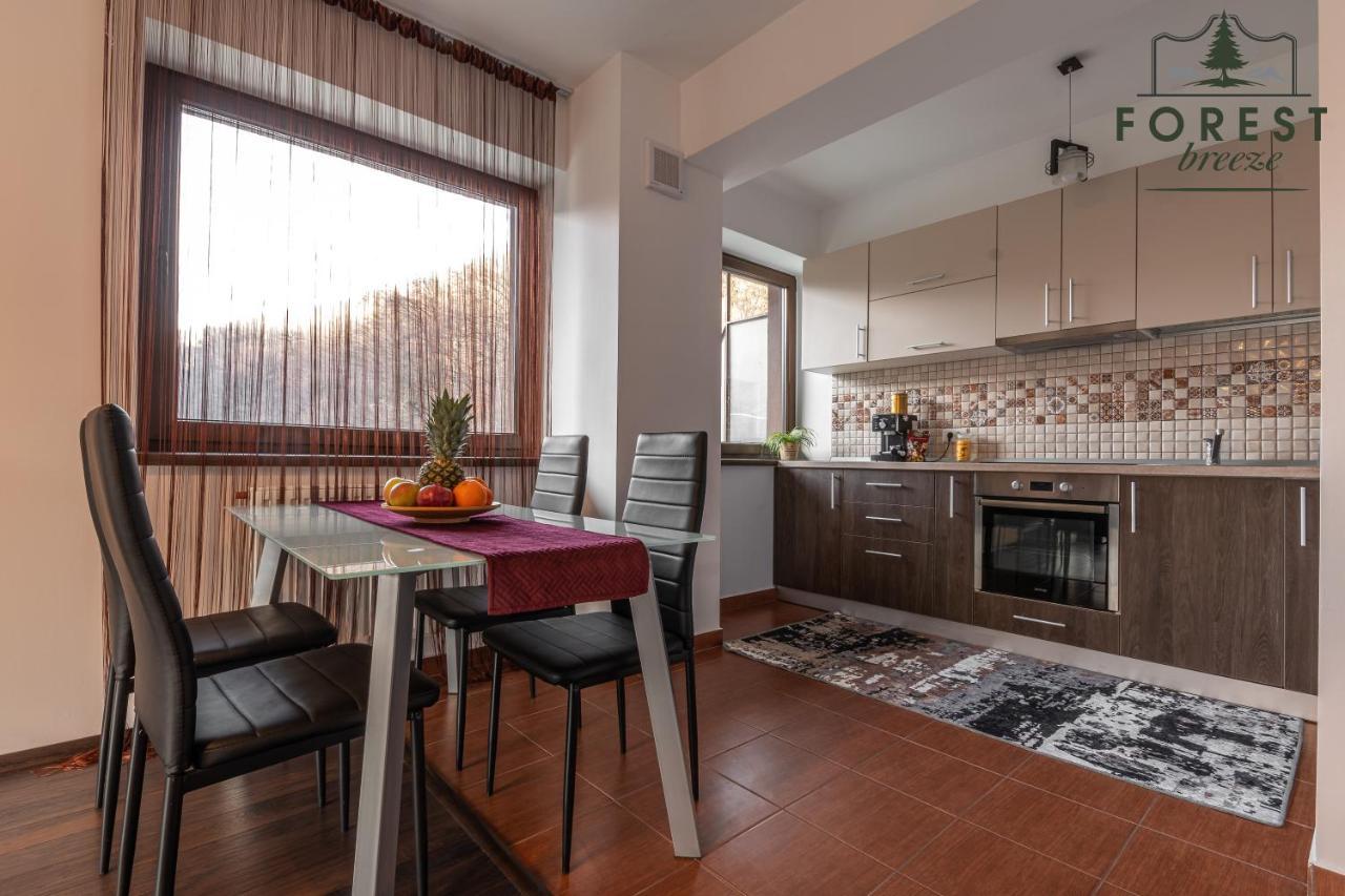 Forest Breeze Apartterrace Braşov Buitenkant foto