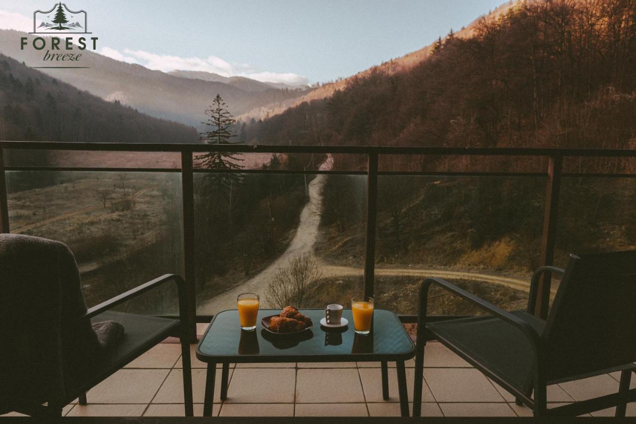 Forest Breeze Apartterrace Braşov Buitenkant foto