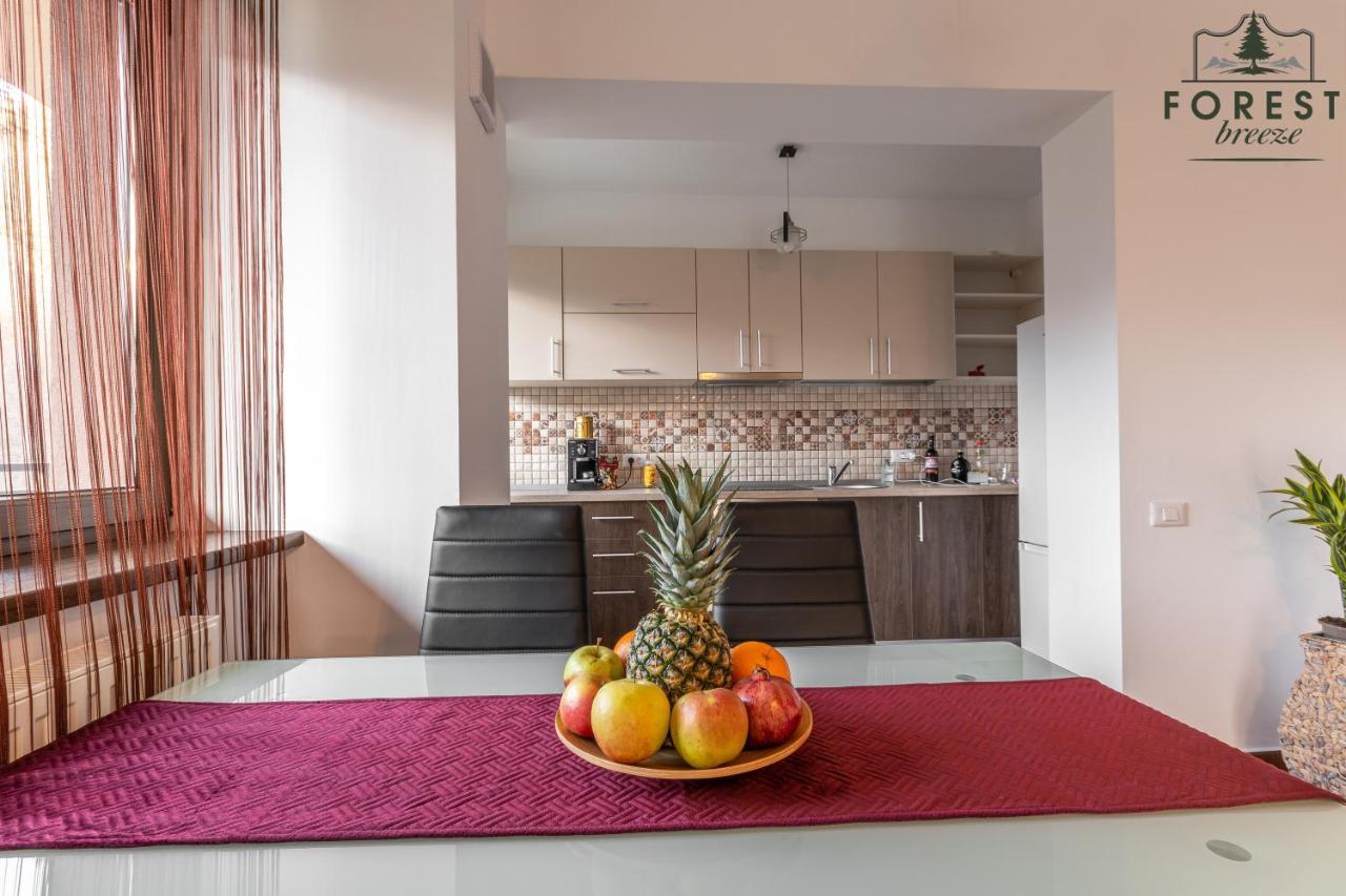 Forest Breeze Apartterrace Braşov Buitenkant foto