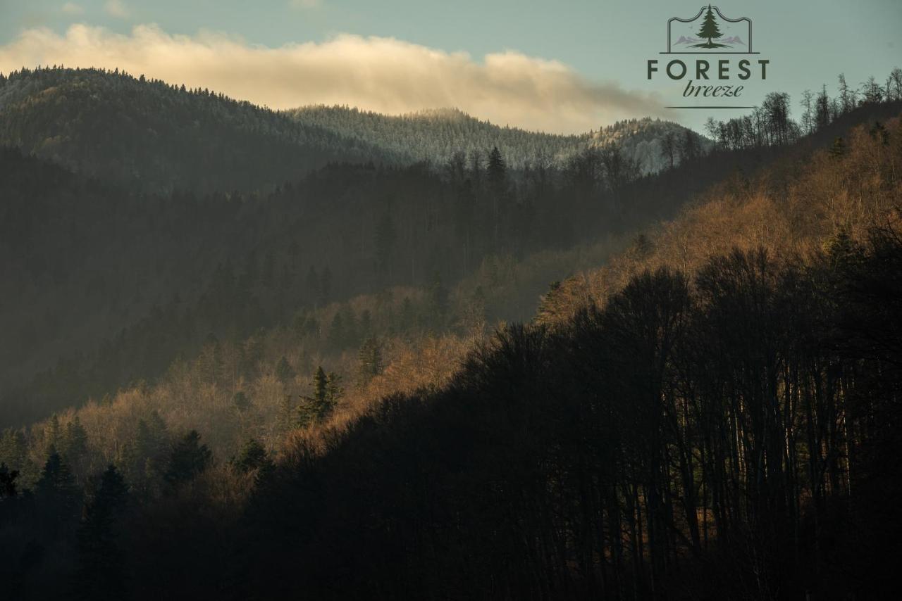 Forest Breeze Apartterrace Braşov Buitenkant foto