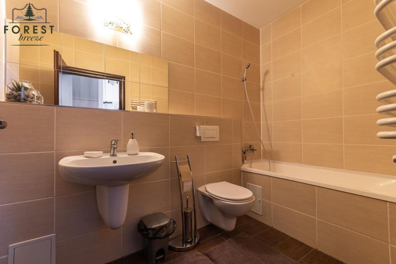 Forest Breeze Apartterrace Braşov Buitenkant foto