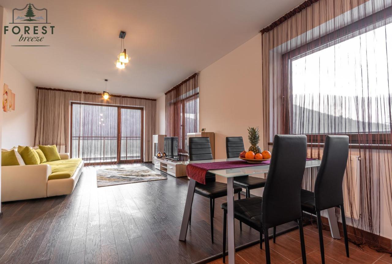 Forest Breeze Apartterrace Braşov Buitenkant foto
