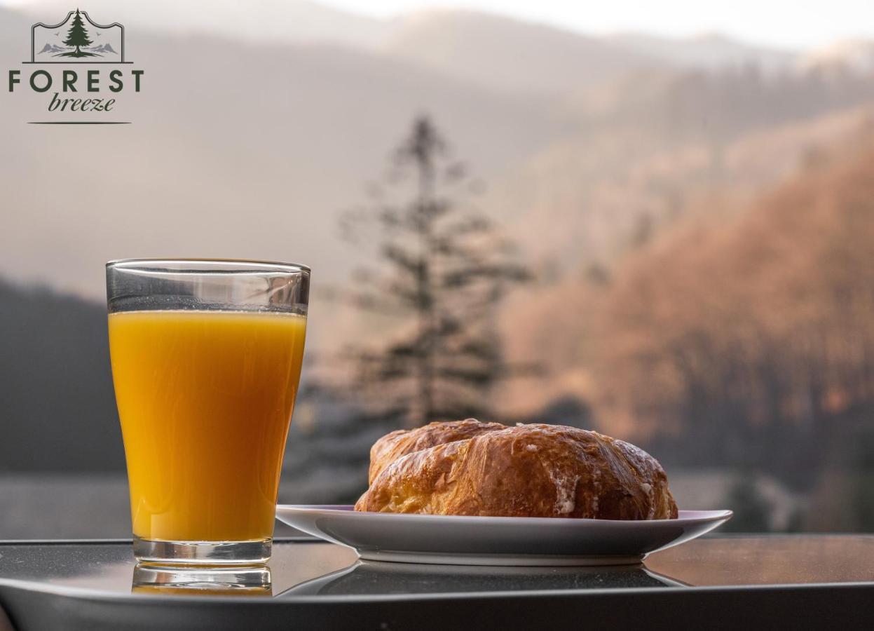 Forest Breeze Apartterrace Braşov Buitenkant foto