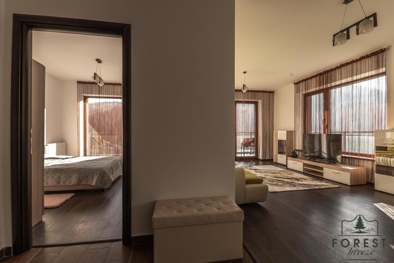 Forest Breeze Apartterrace Braşov Buitenkant foto