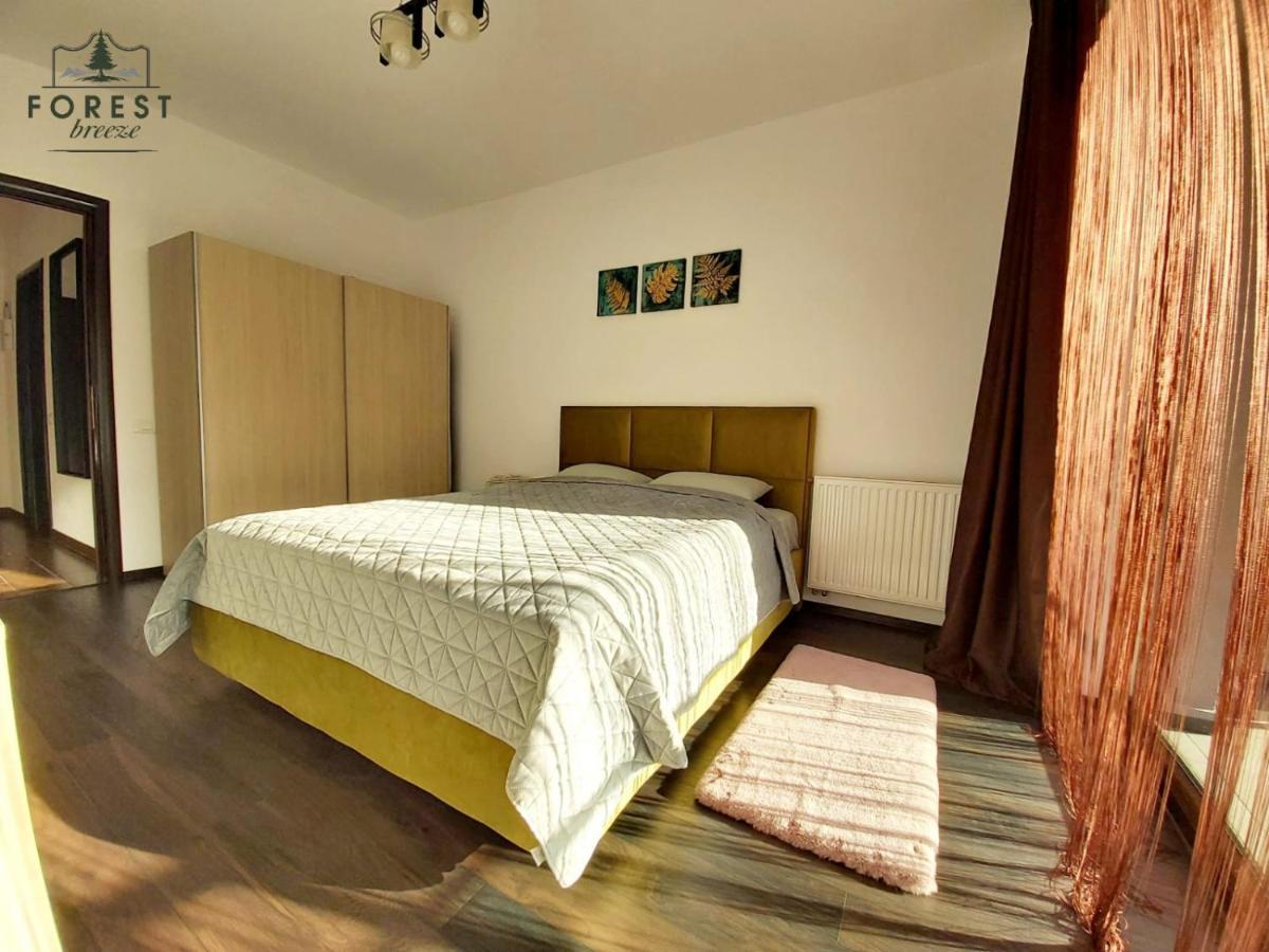 Forest Breeze Apartterrace Braşov Buitenkant foto