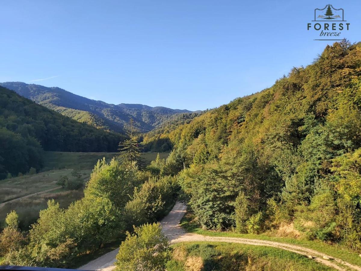 Forest Breeze Apartterrace Braşov Buitenkant foto