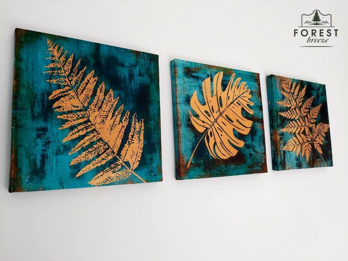 Forest Breeze Apartterrace Braşov Buitenkant foto