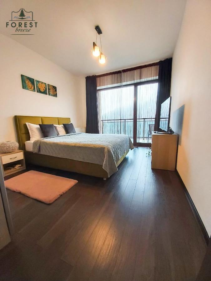 Forest Breeze Apartterrace Braşov Buitenkant foto