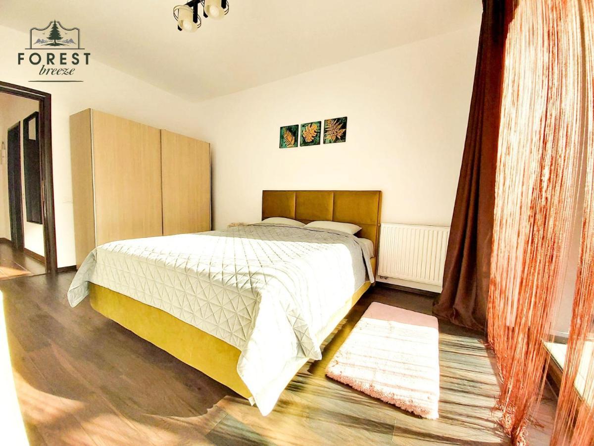 Forest Breeze Apartterrace Braşov Buitenkant foto