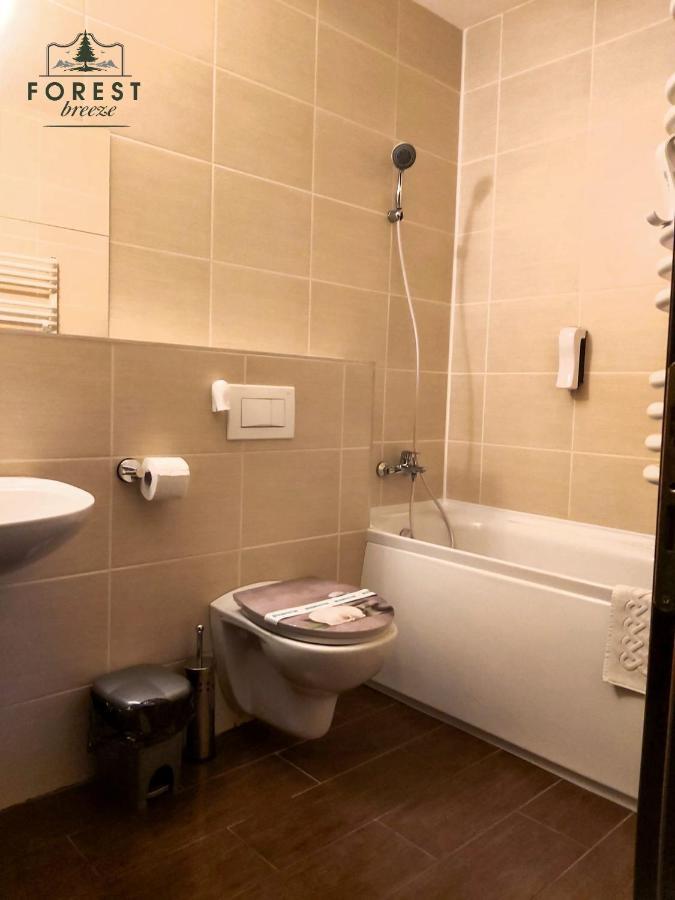 Forest Breeze Apartterrace Braşov Buitenkant foto