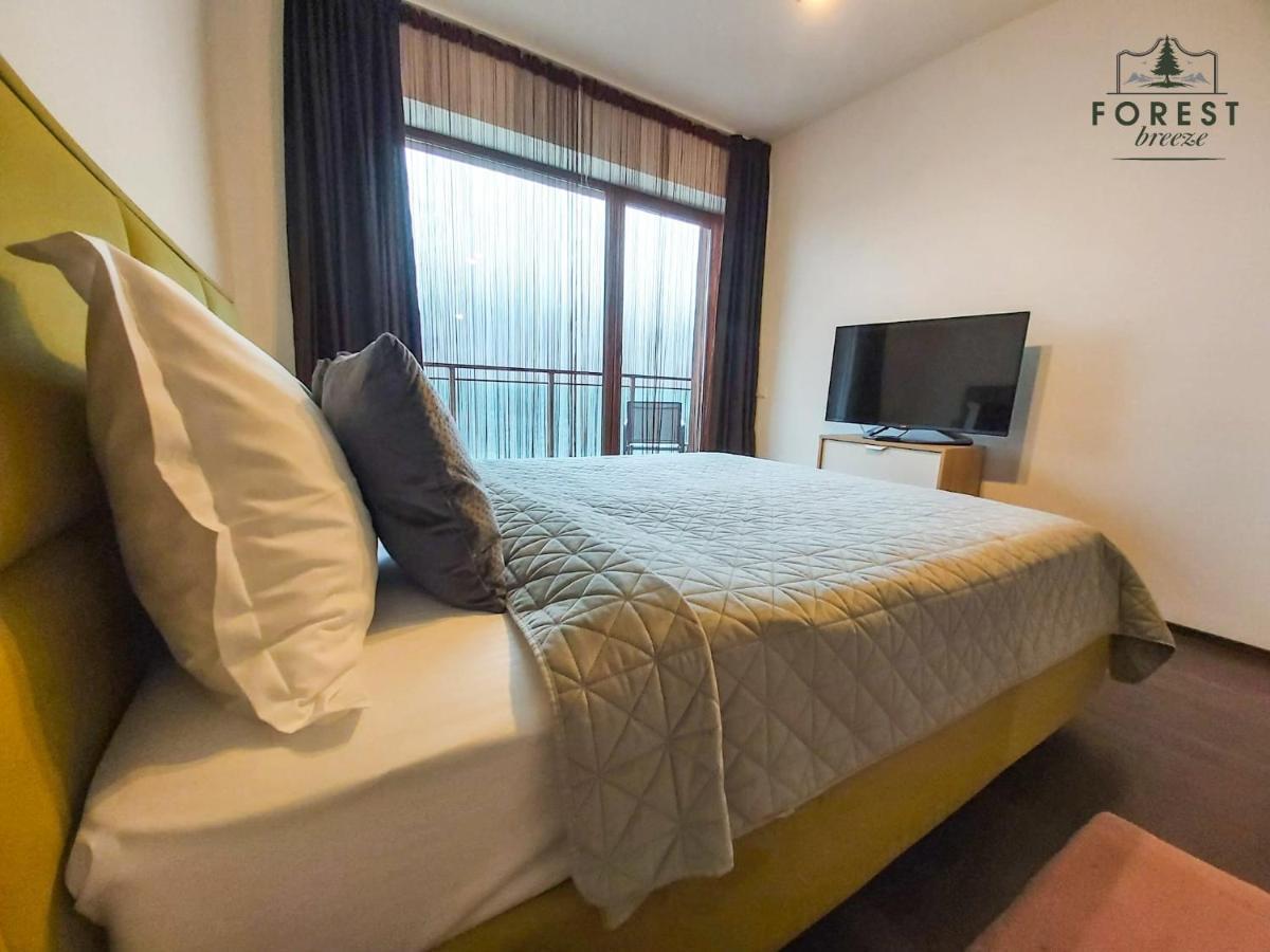 Forest Breeze Apartterrace Braşov Buitenkant foto