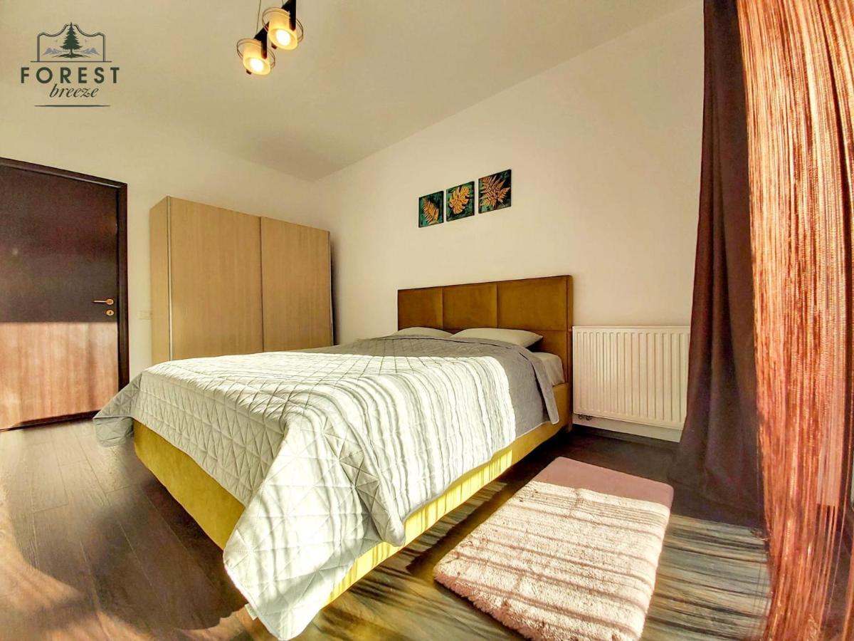 Forest Breeze Apartterrace Braşov Buitenkant foto